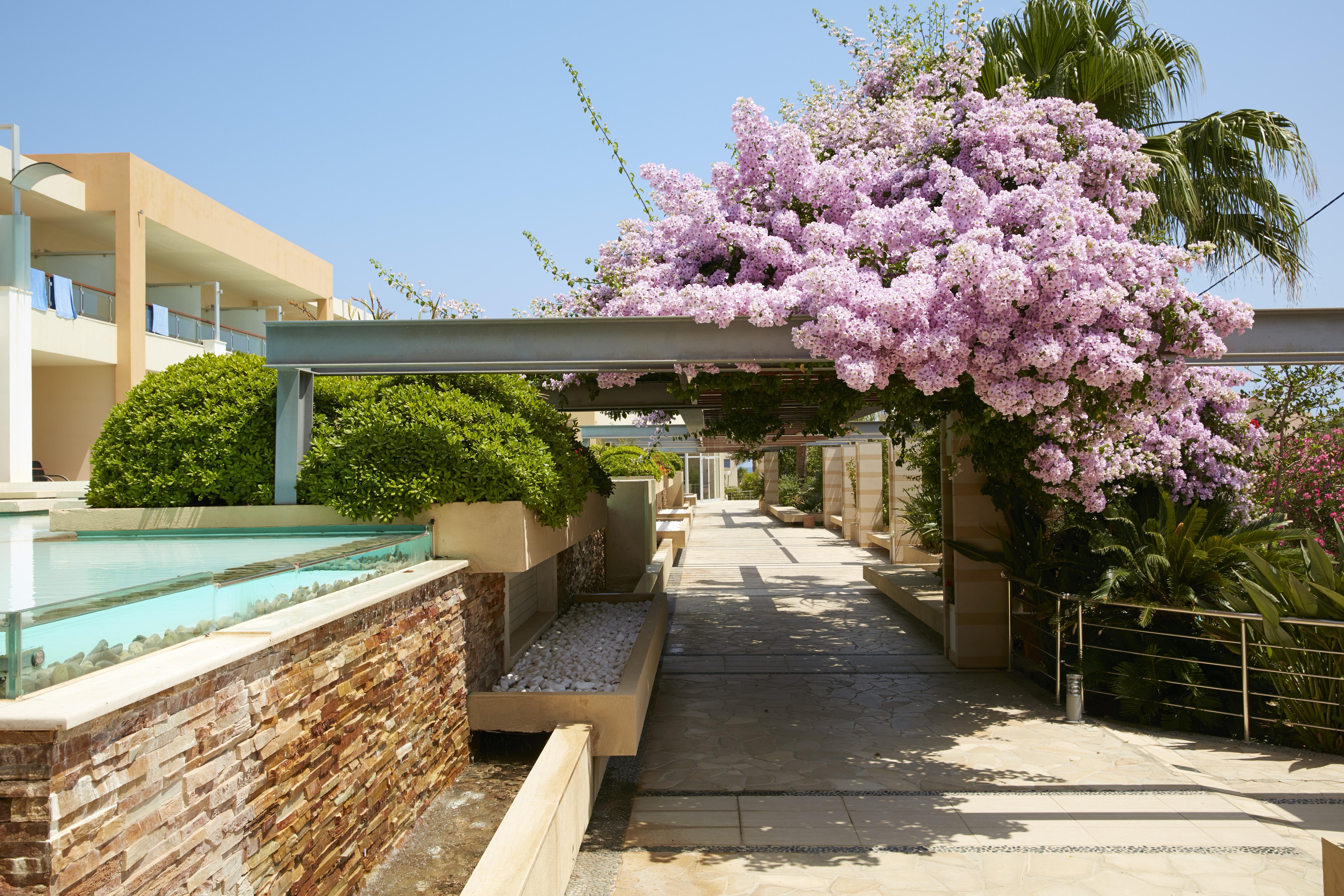 Minoa Palace Resort Platanés المظهر الخارجي الصورة